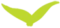 درباره آمال