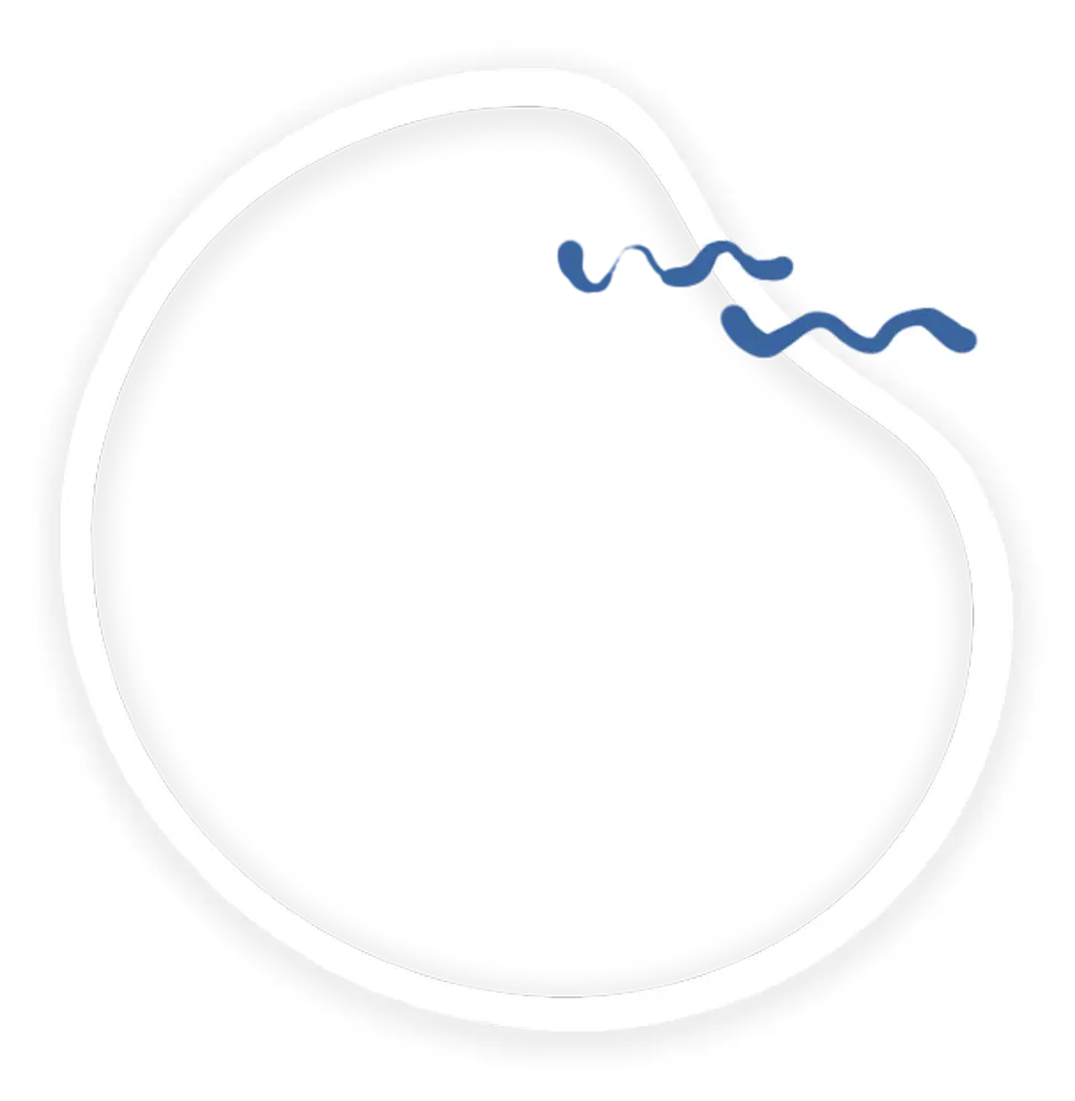 موسسه آمال